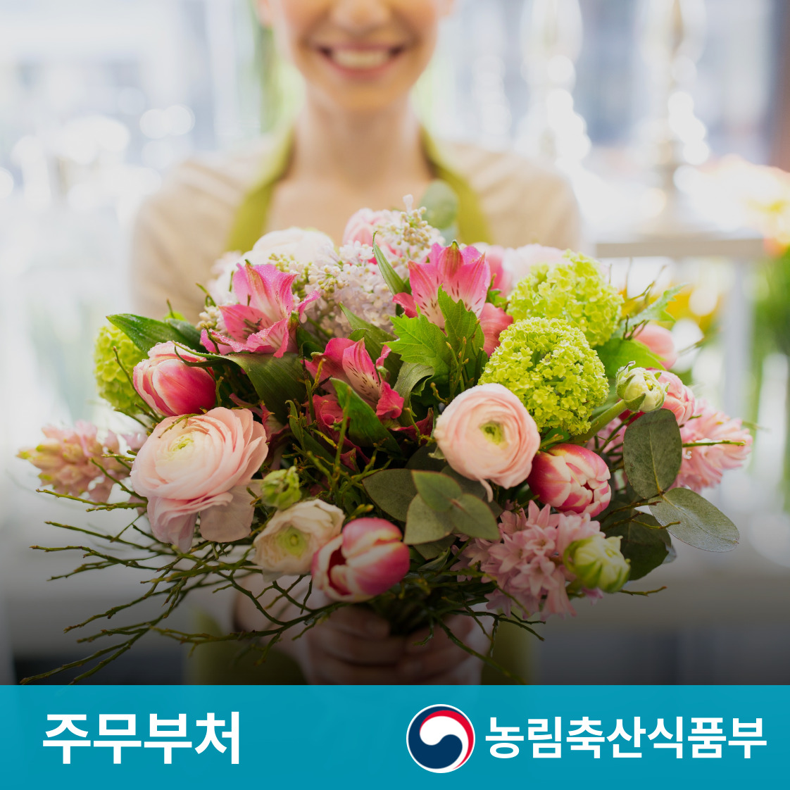 슬라이드 이미지