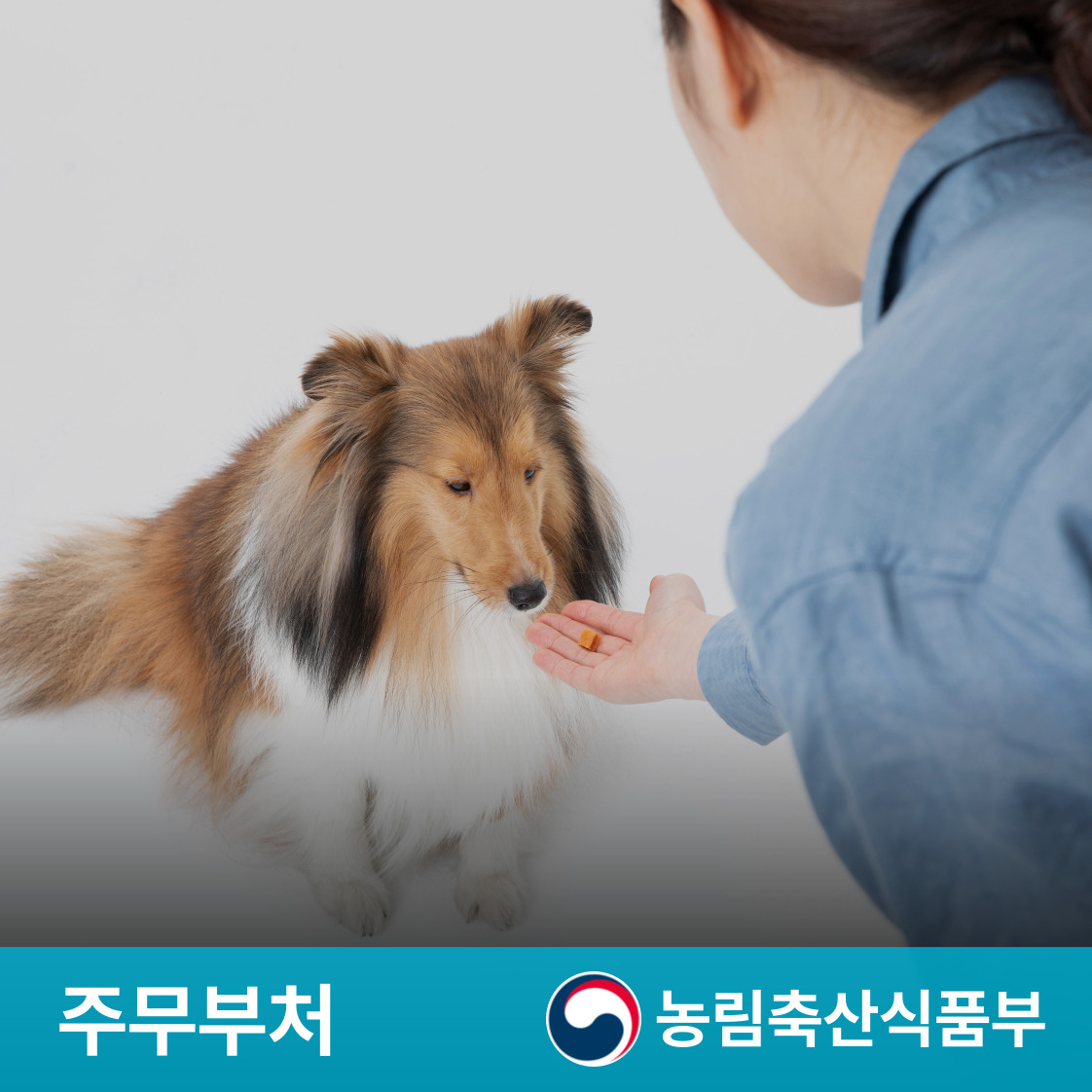 슬라이드 이미지